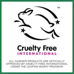 Garnier SkinActive Vitamin C Sheet Mask -Health Supply Store 394724 garnier skinactive sheet mask vitamin c 2